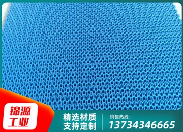 7100轉彎網(wǎng)帶 